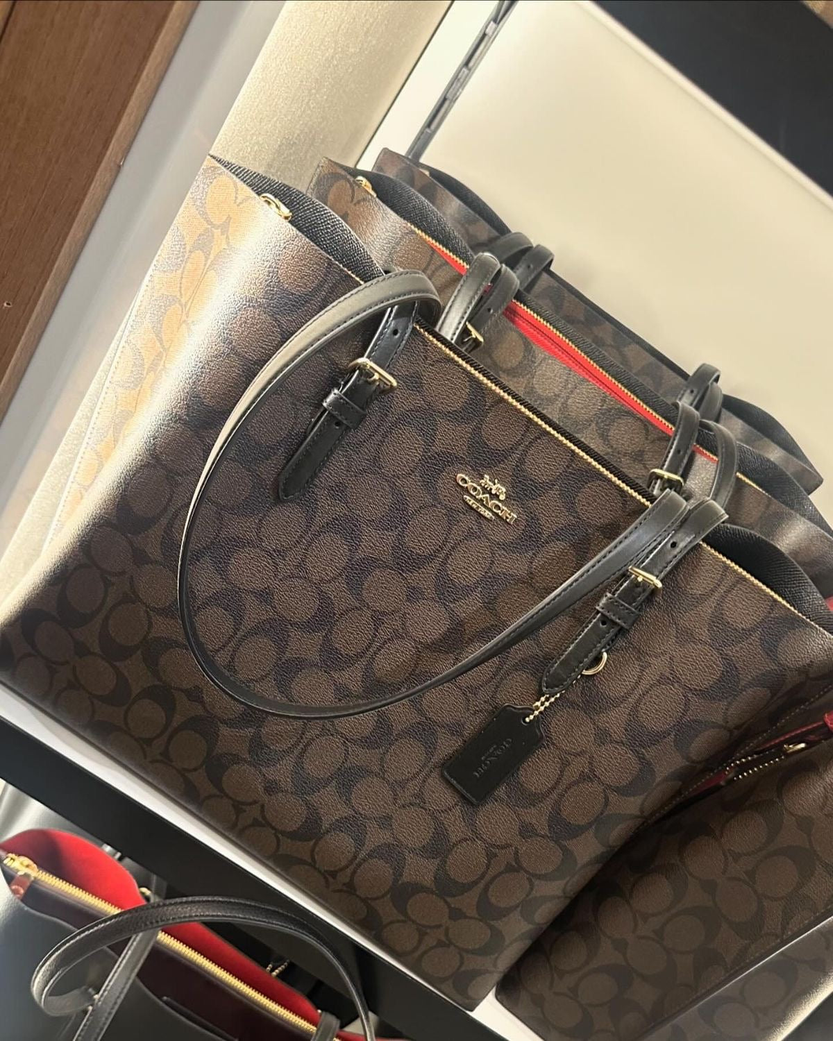 Coach mollie signature canvas