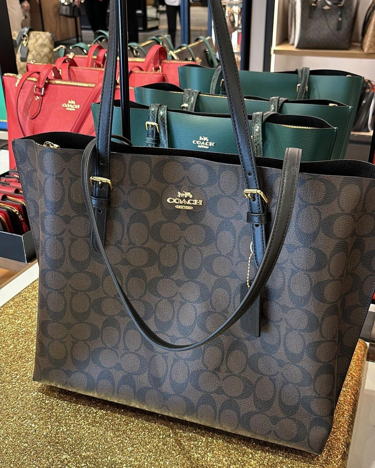 Coach mollie signature canvas
