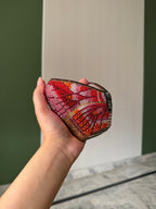 Butterfly Monarch